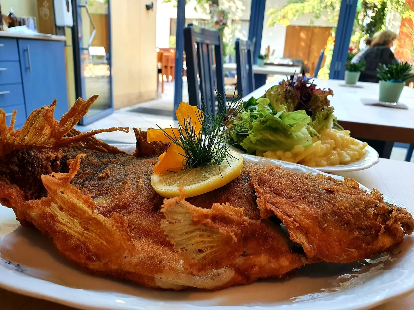 Goldbraun gebackener Karpfen mit Zitrone, Dill, Kartoffelsalat und Salat