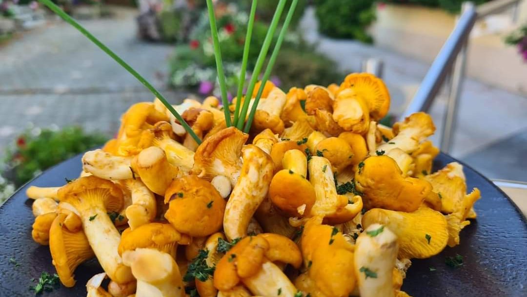 Frische Pfifferlinge, in Butter geröstet